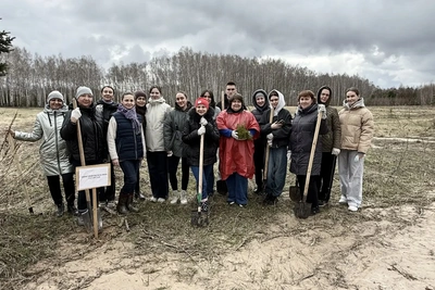 Сотрудники Минстроя РТ высадили более 500 сеянцев сосны и ели