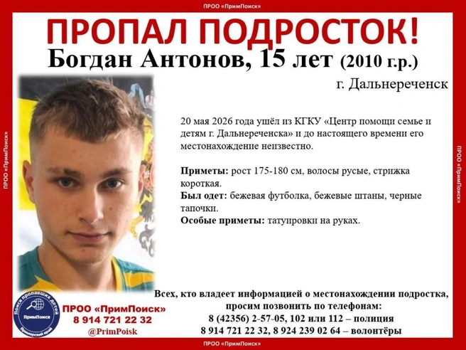 Источник: «Примпоиск» / T.me