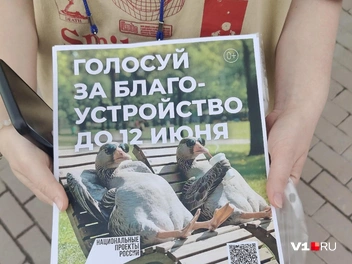 Источник: Андрей Петров / V1.RU