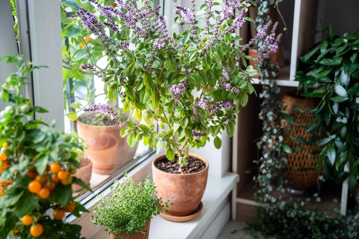 Источник: Legion Media