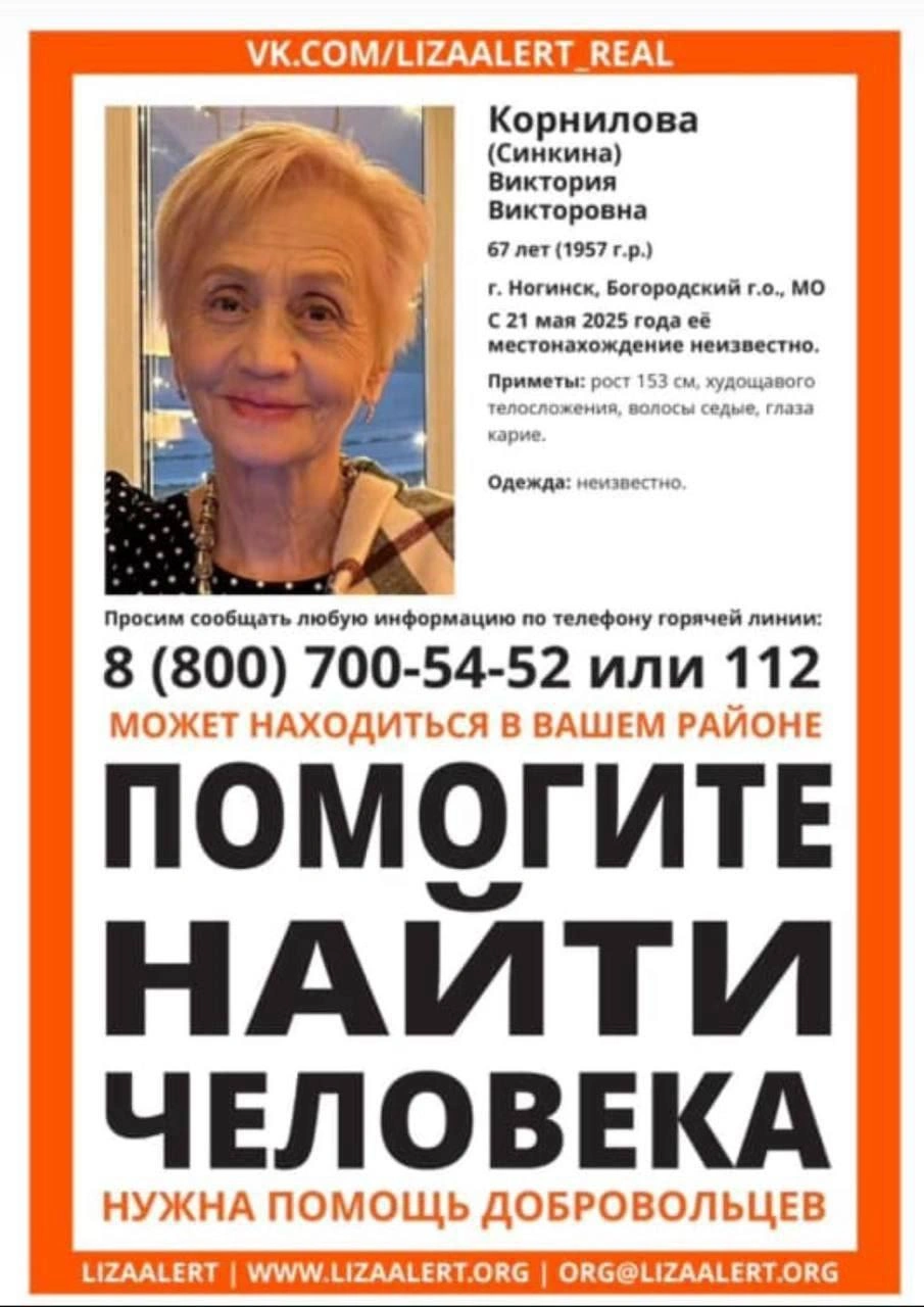 Источник: lizaalert.org