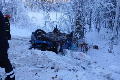 ДТП в Мурманской области: грузовик и Renault, погибла женщина