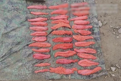 Полиция завершила дело о незаконном вылове кеты на Амгуни