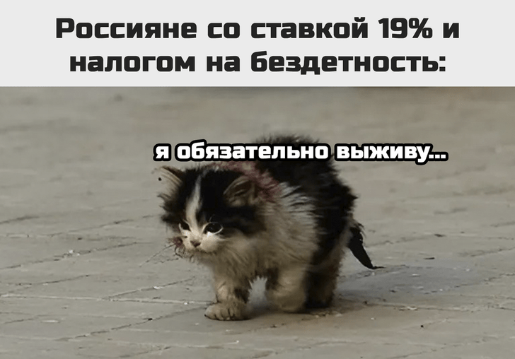 Лучшие шутки и мемы про налог на бездетность