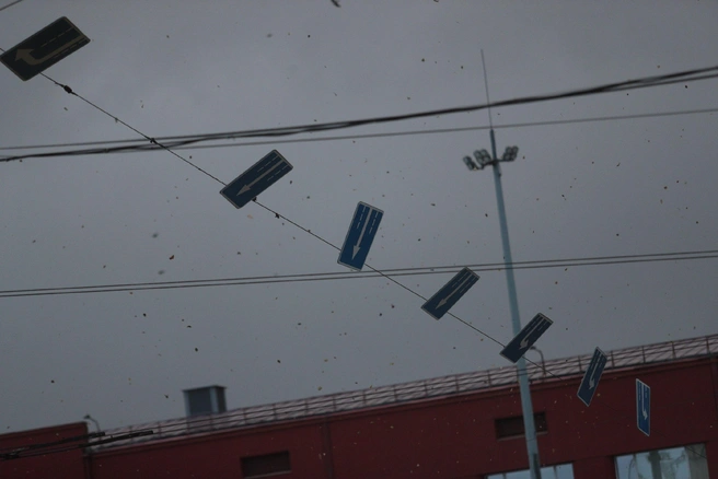 Источник: Андрей Бортко / NGS.RU