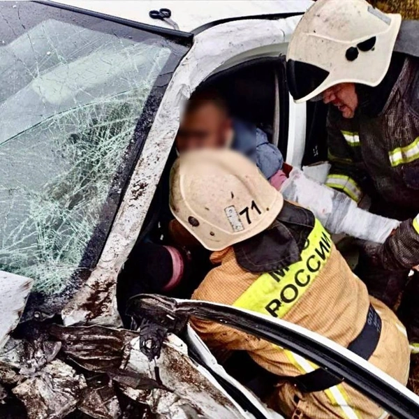 Источник: Официальный канал МЧС Ленобласти