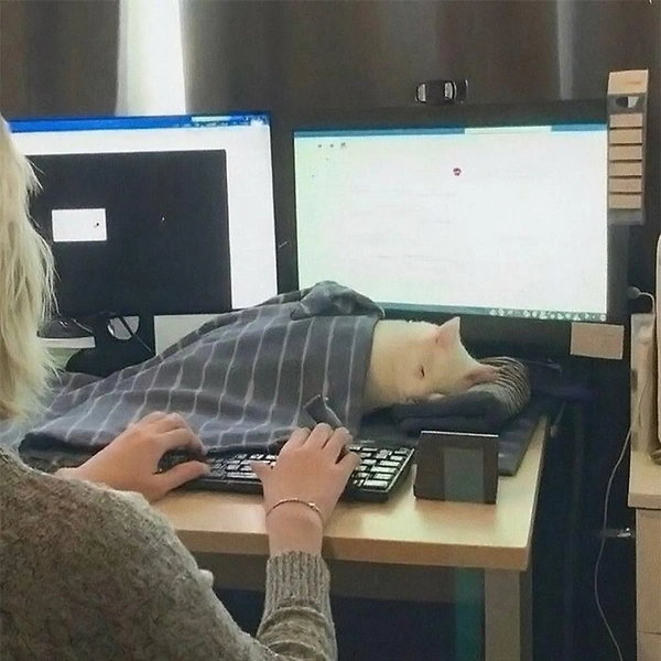 Источник: соцсети