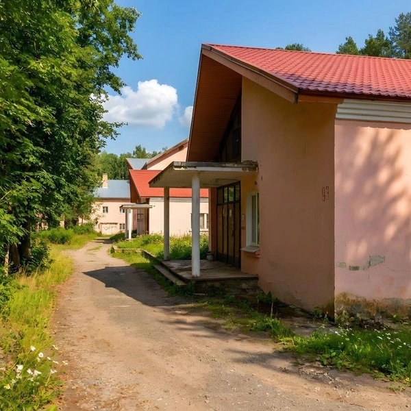 На участке есть, где погулять | Источник: РАД Электронные закупки / catalog.lot-online.ru