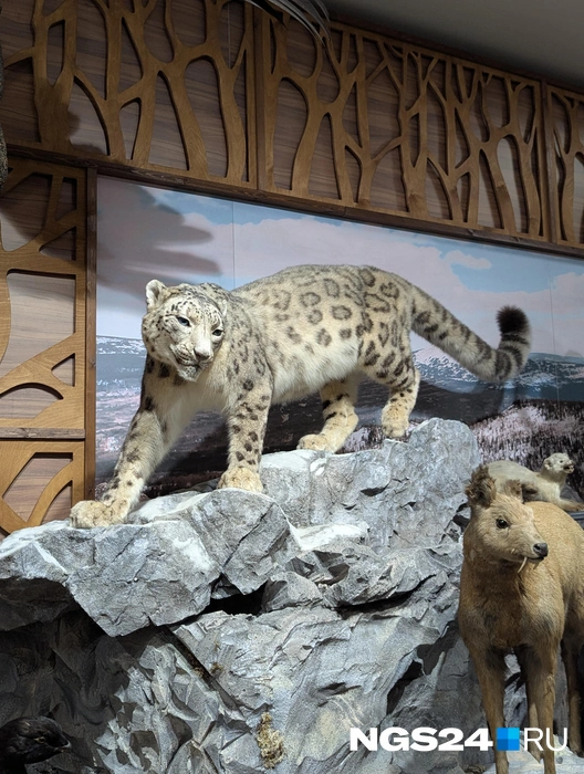 Скончалась Бьянка в 2016 году | Источник: Мария Ленц / NGS24.RU