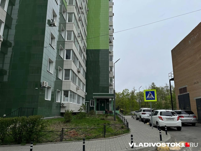 Источник: Алиса Князева / VLADIVOSTOK1.RU