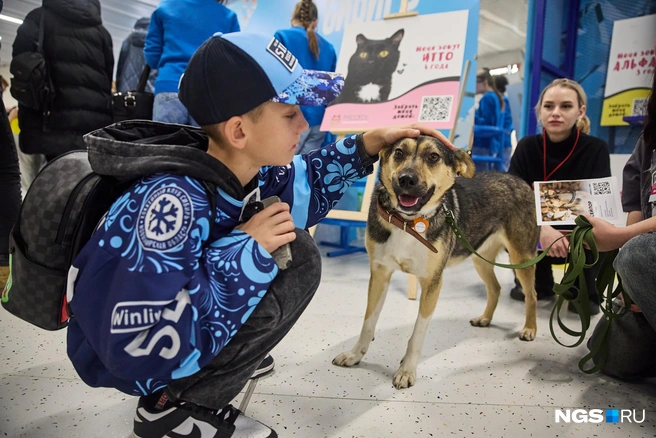 На улице, у входа со стороны метро «Спортивная», работала «Добрая коробка» | Источник: Александр Ощепков / NGS.RU