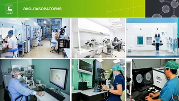 Источник: правительство Нижегородской области