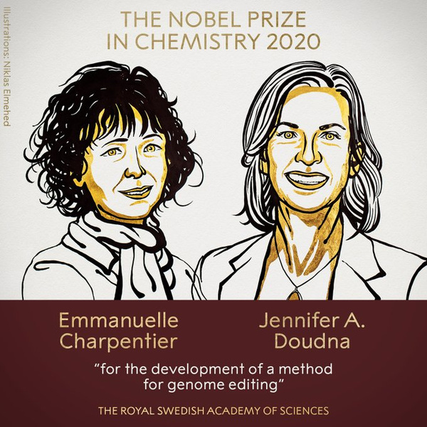 Нобелевская премия по химии присуждена за метод редактирования генома