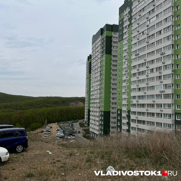Источник: Алиса Князева / VLADIVOSTOK1.RU