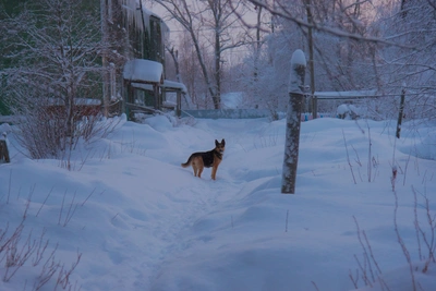 Погода в Архангельской области: сильный контраст температур