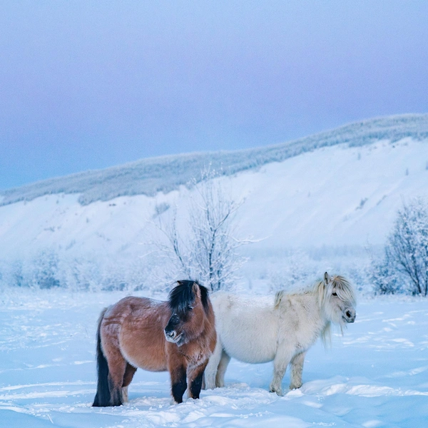Источник: Павел Матвеев / Vk.com