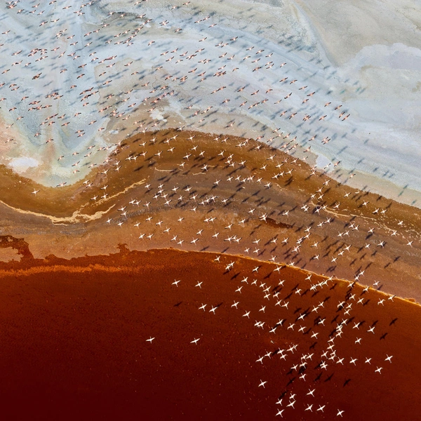Источник: Wayne Sorensen / International Photography Awards 2025