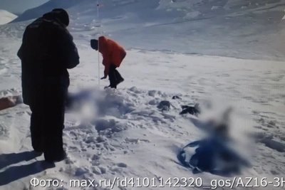 На Камчатке возбуждено дело после гибели туристов в парке