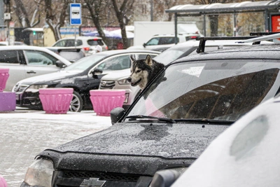 В Нижнем Новгороде ожидаются холода и осадки