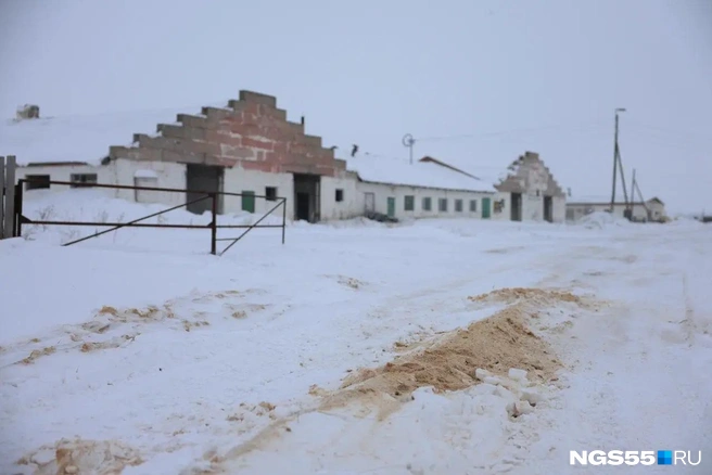 Под снегом видны остатки дезбарьера, сделанного из опилок | Источник: Евгений Софийчук / NGS55.RU