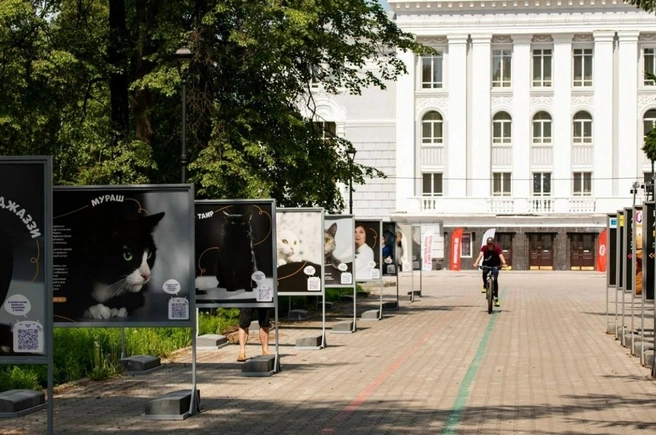 Выставка радовала пермяков в сквере у Театра оперы и балета | Источник: Галя Море