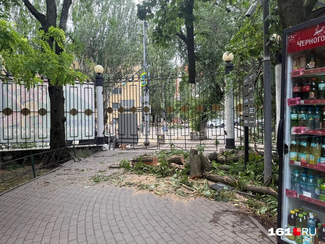 Выход/вход закрыт, но открыт другой, тоже с Театрального проспекта | Источник: Марина Рыбалкина / 161.RU