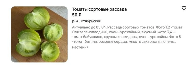 Источник: Avito.ru