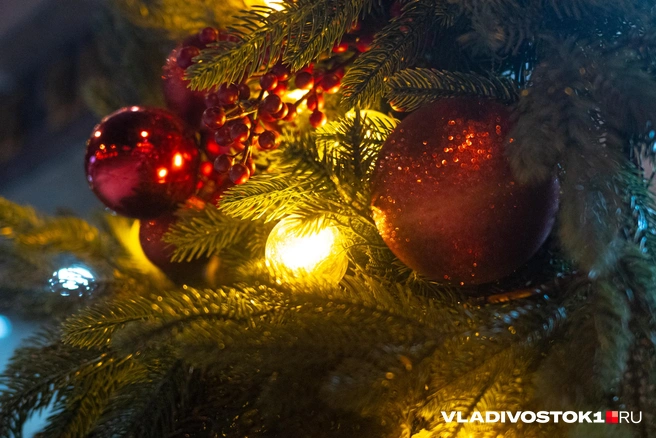 Источник: Елена Буйвол / VLADIVOSTOK1.RU