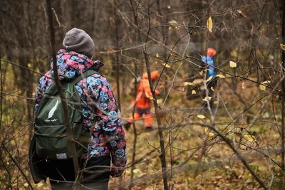 В Воронежской области названы районы с частыми исчезновениями