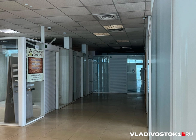 Источник: Елена Буйвол / VLADIVOSTOK1.RU