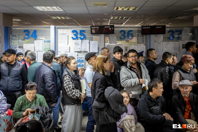 Ответственность за нелегальную миграцию часто несут исполнители — организаторы же выходят сухими из воды | Источник: Владислав Лоншаков / E1.RU