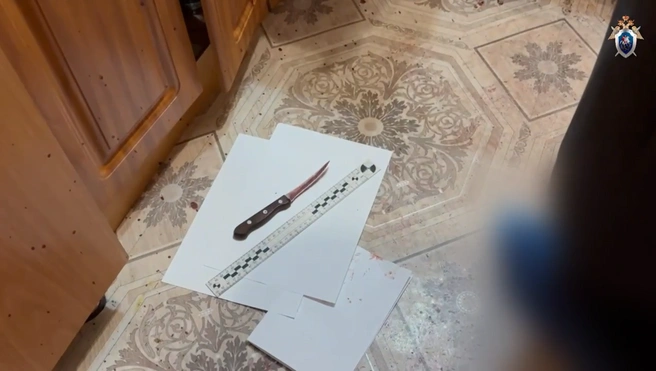Этим ножом он зарезал свою мать | Источник: ГСУ СК России по Красноярскому краю и РХ / MAX
