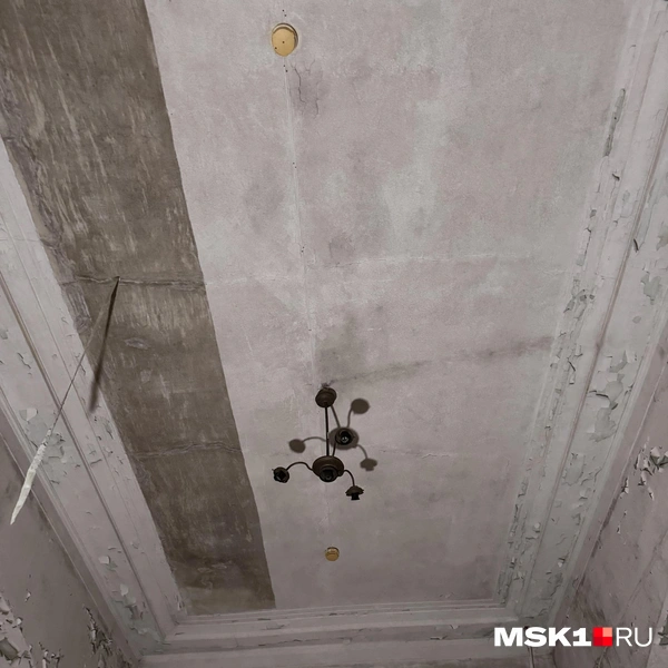 Источник: Алина Мельникова / MSK1.RU