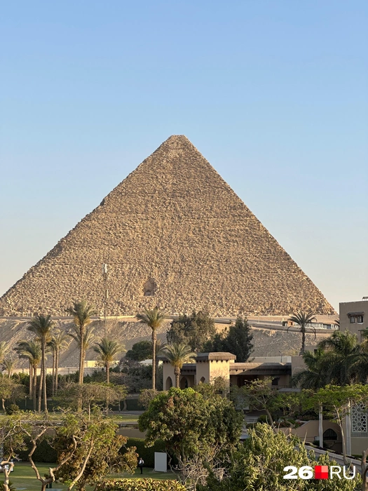 Источник: Габриелла Захарова / 26.RU