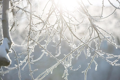 Теплеет в Зауралье в предновогодние выходные