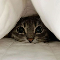 Аватарка musrep3210