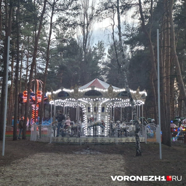 Источник: Алёна Воропаева / Voronezh1.ru