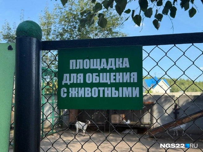 Пройти мимо нее крайне сложно | Источник: Полина Шевчукова / NGS22.RU
