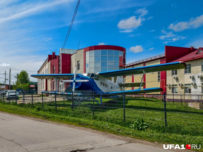 Недалеко отсюда пасутся коровы | Источник: Булат Салихов / UFA1.RU