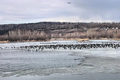 Тест: что означают названия сел Иркутской области?