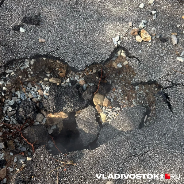Источник: Елена Буйвол / VLADIVOSTOK1.RU