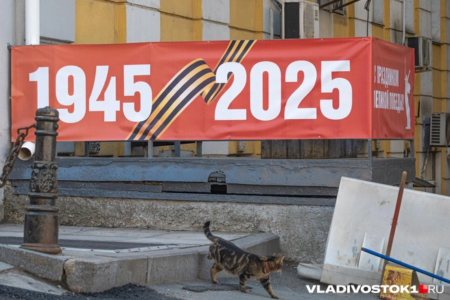 Источник: Елена Буйвол / VLADIVOSTOK1.RU