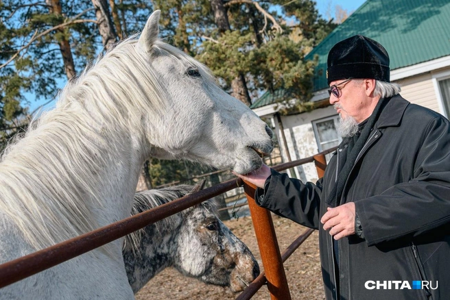 Кормление морквой | Источник: Олег Фёдоров / CHITA.RU