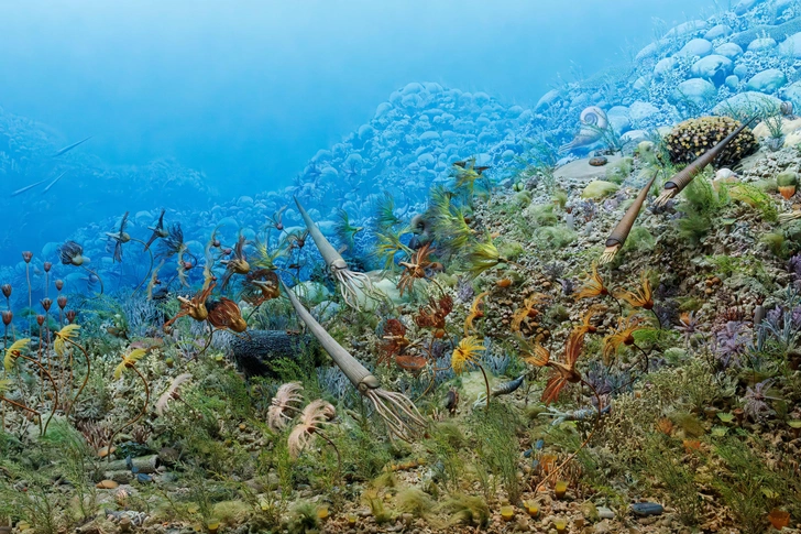 Геологи выяснили больше о климате на Земле 3,5 миллиарда лет назад | Источник: Susan E. Degginger via Legion-media