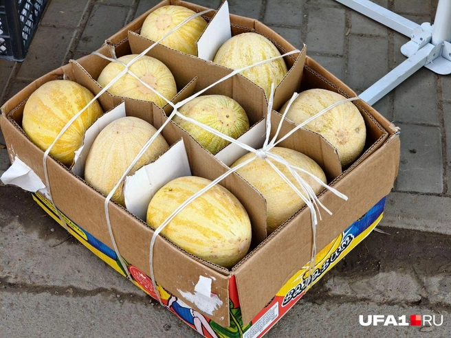 Угадайте, где наша | Источник: Булат Салихов / UFA1.RU