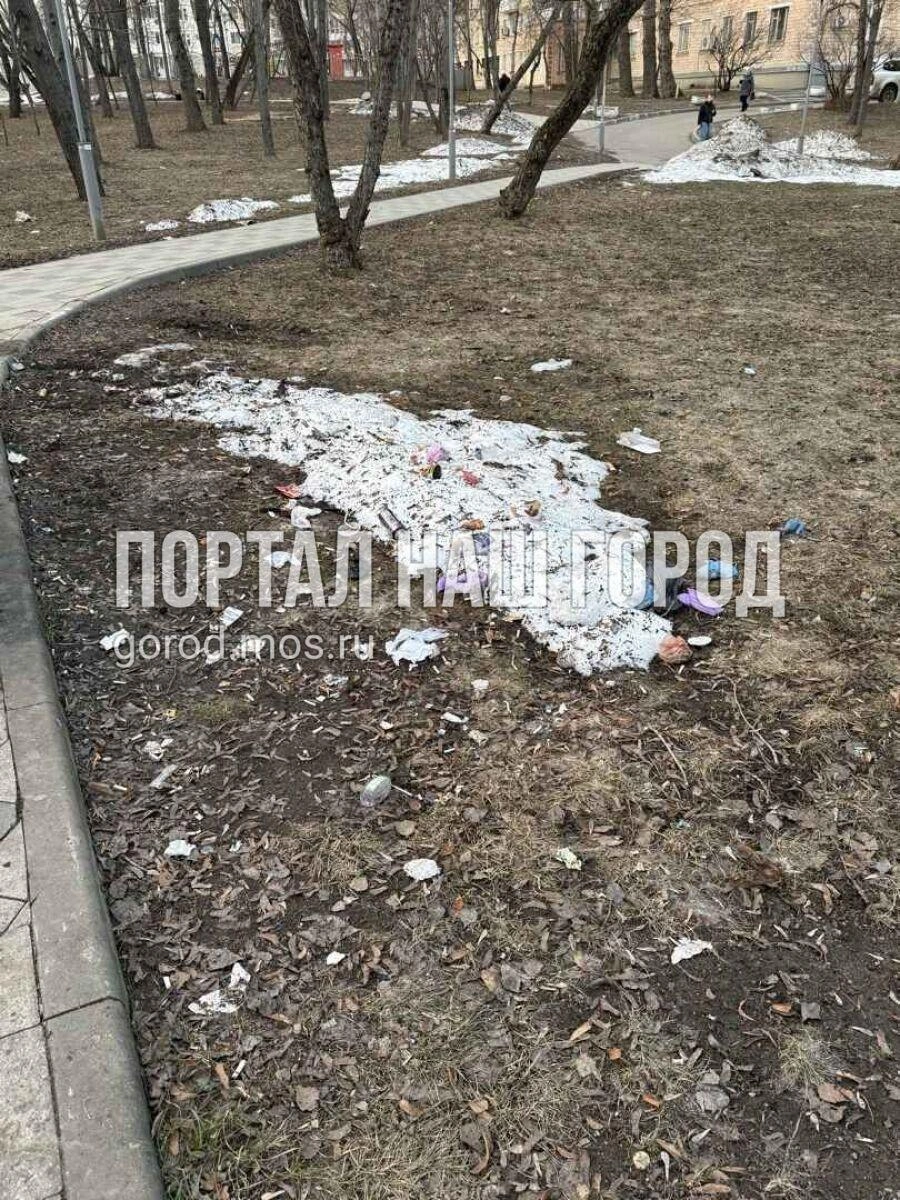 В Донском районе сквер завален мусором | Источник: Gorod.mos.ru