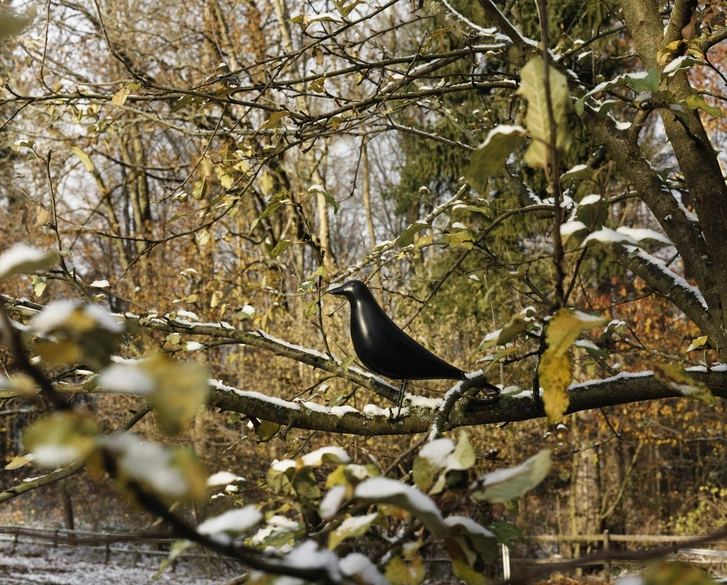 Культовый объект: Eames House Bird (фото 8)