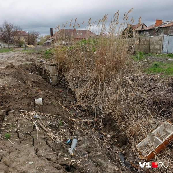 Далее вода уходит вниз в овраг | Источник: Алексей Волхонский / V1.RU