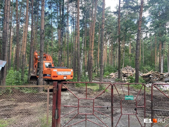 Источник: Алиса Глинских / E1.RU