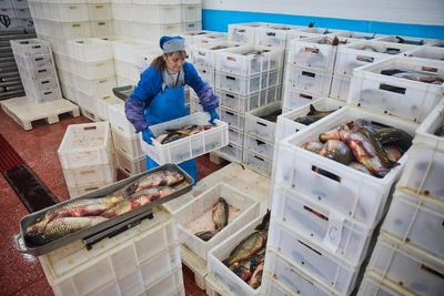 Почему рыба дорожает даже в регионах добычи